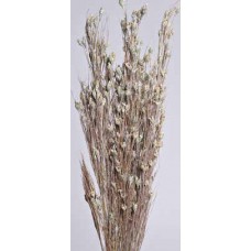 BELL REED Frosted Green 36"-40"